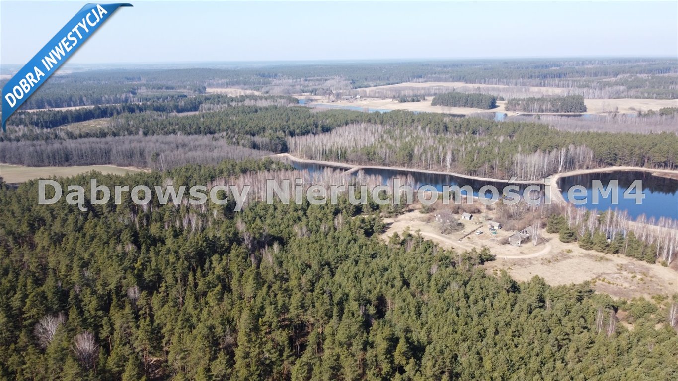 Działka rolna na sprzedaż Gródek  3 368m2 Foto 14