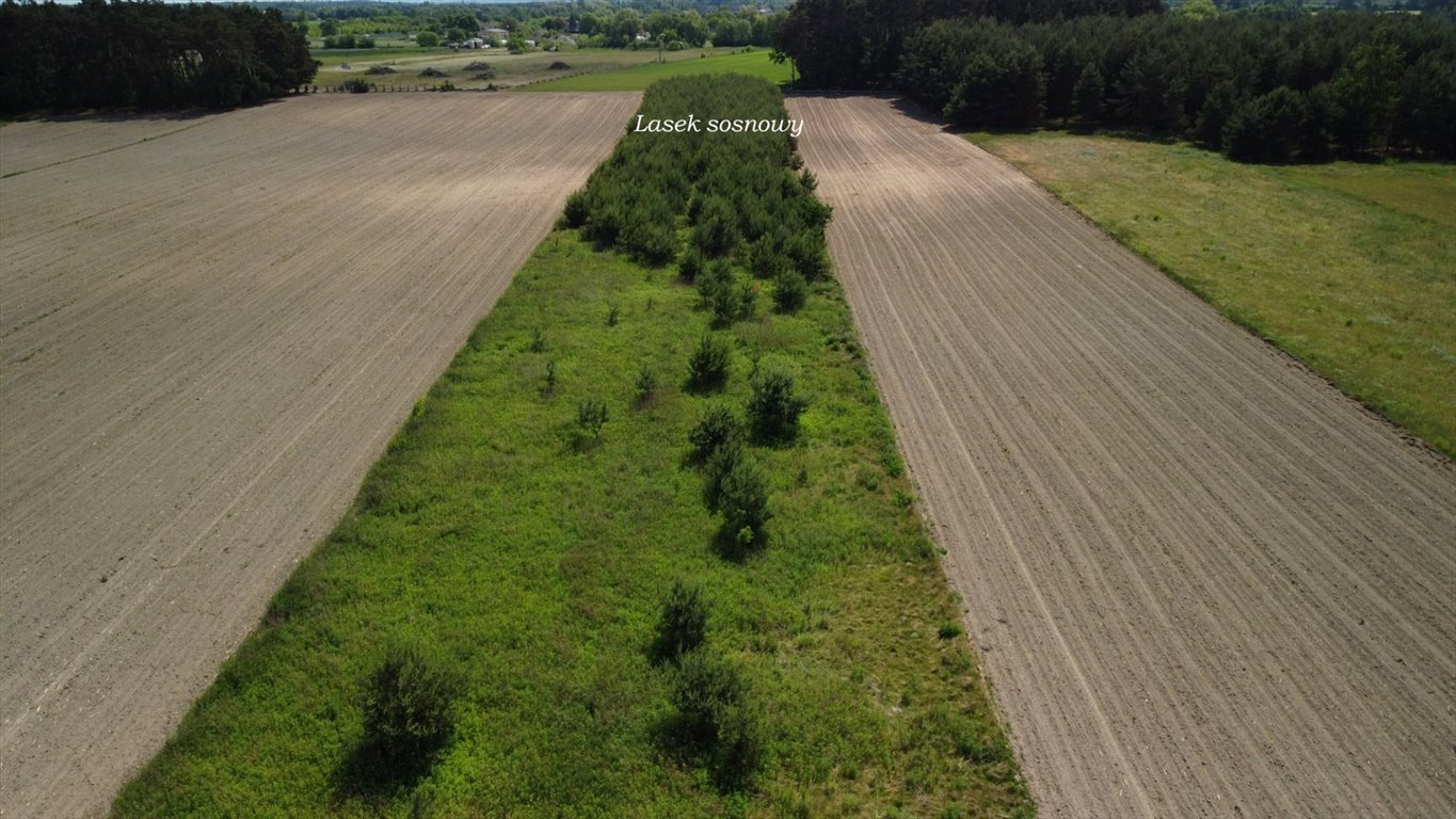 Działka inna na sprzedaż Janaszówek  20 956m2 Foto 4