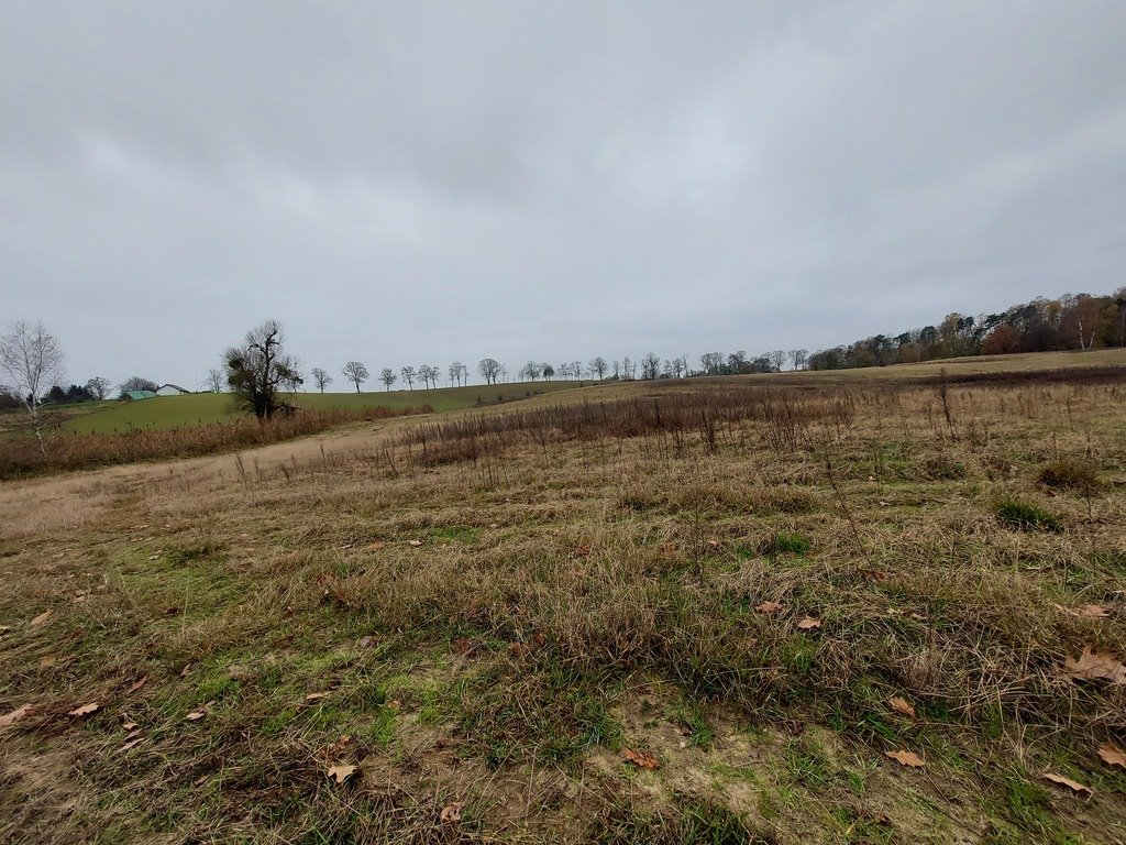 Działka budowlana na sprzedaż Izdebno  1 500m2 Foto 10