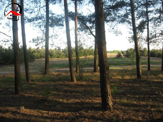 Działka rekreacyjna na sprzedaż Lubówiec  1 000m2 Foto 5