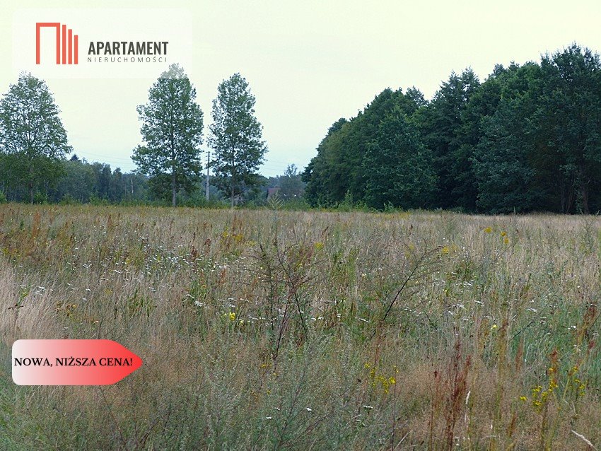 Działka siedliskowa na sprzedaż Małomin  9 900m2 Foto 1