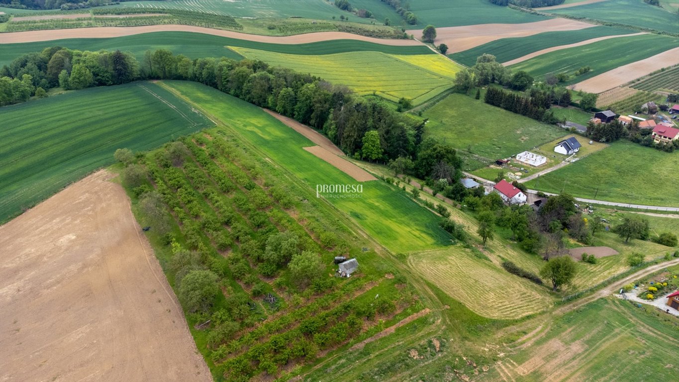 Działka inna na sprzedaż Brochocin, Malinowa  1 176m2 Foto 4