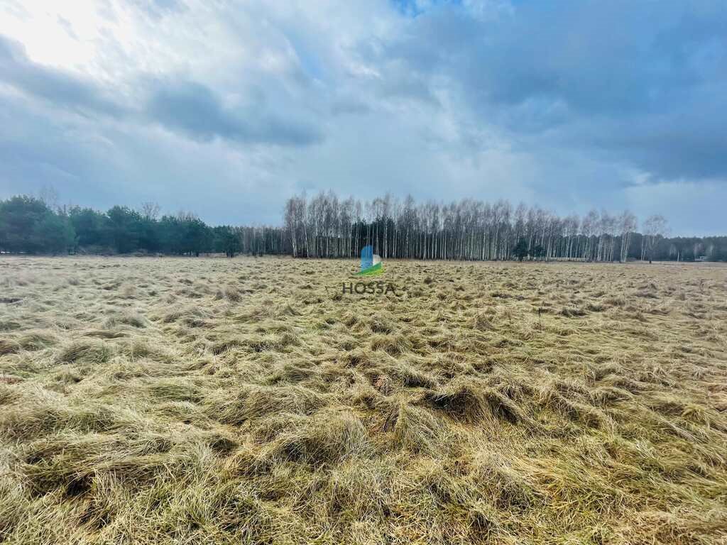 Działka budowlana na sprzedaż Natać Wielka  26 818m2 Foto 6