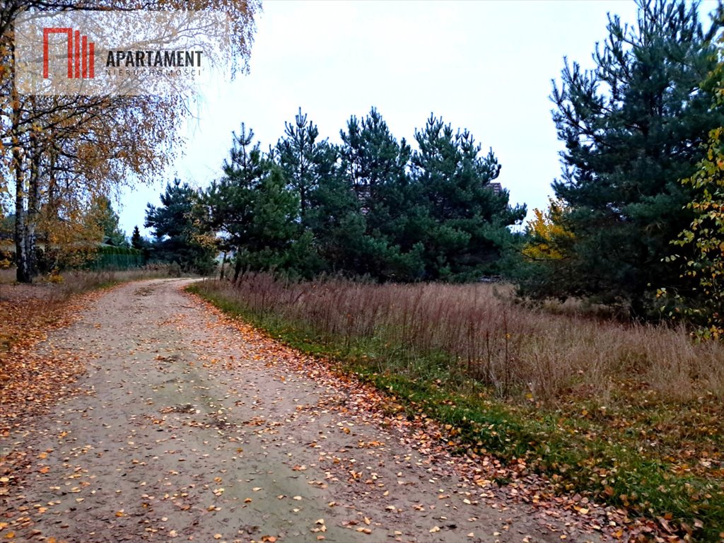 Działka budowlana na sprzedaż Kierzkowo  827m2 Foto 2