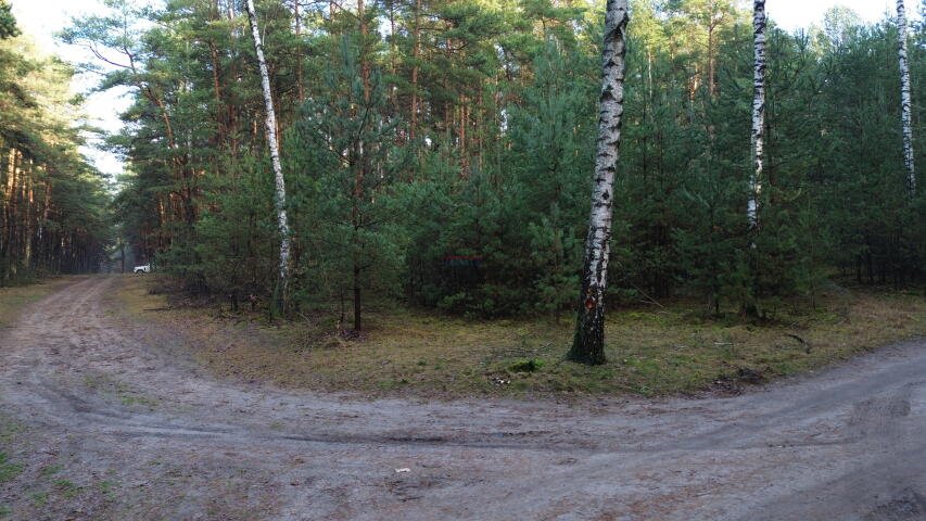 Działka leśna na sprzedaż Bogatki, Bogatki  988m2 Foto 1