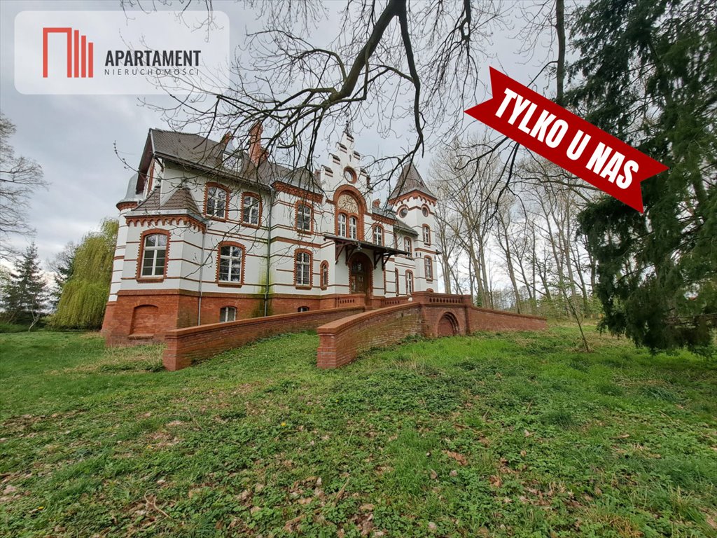 Pałac z historią - inwestycja pod dom seniora 6 ha Czernina Dolna  1 930m2 Foto 1