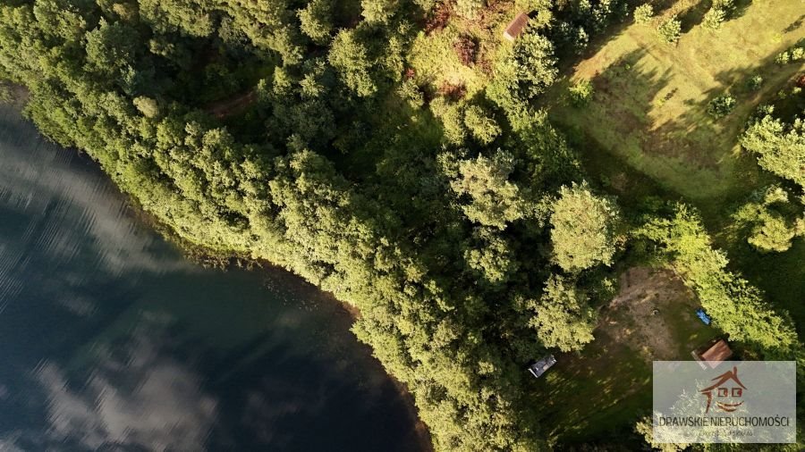 Działka rekreacyjna na sprzedaż Żabin, Żabin  668m2 Foto 5