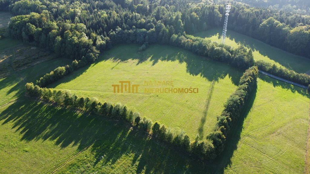 Działka budowlana na sprzedaż Lecka  22 027m2 Foto 1