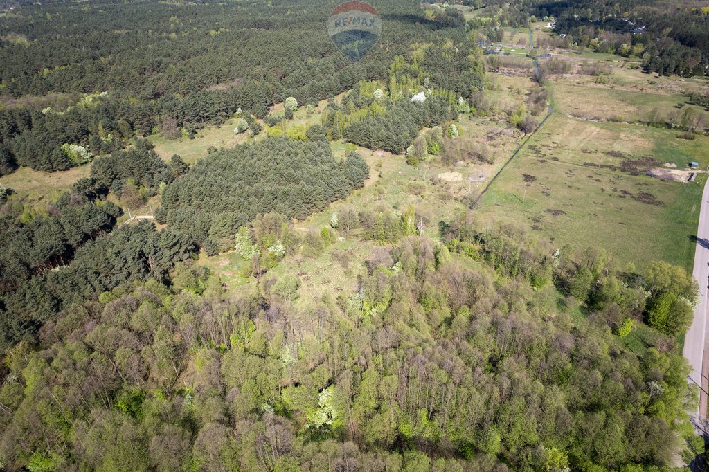 Działka leśna z prawem budowy na sprzedaż Skrzeszew, Olszankowa  23 411m2 Foto 10