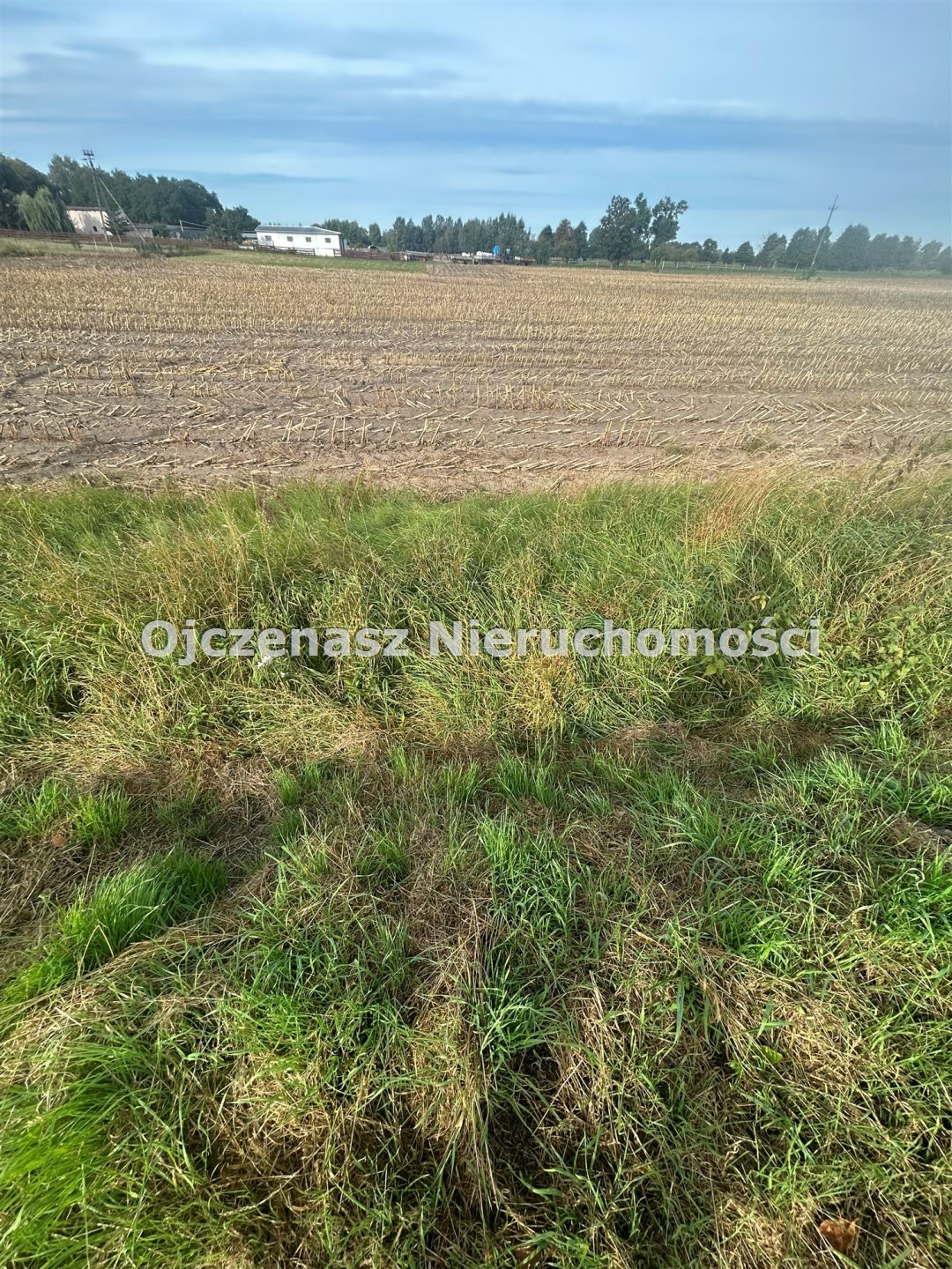 Duża działka inwestycyjna 48 383 m² z mediami - blisko Szubina Kowalewo  48 383m2 Foto 1