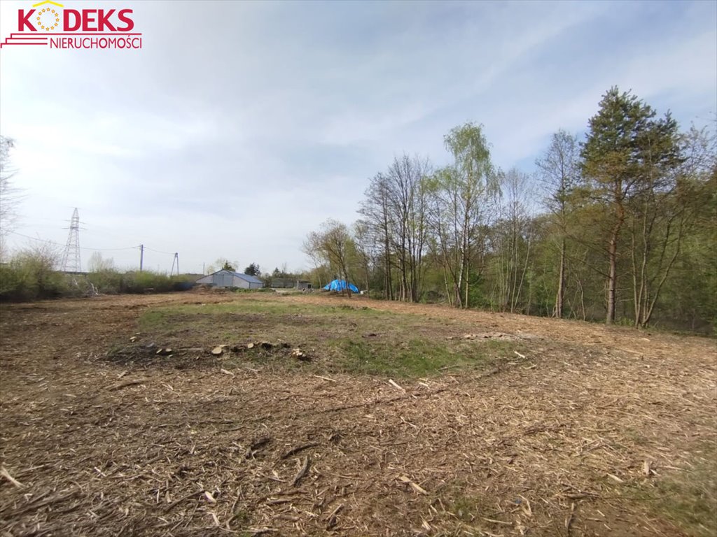 Działka inwestycyjna 9 775 m² z mediami i dużym potencjałem Skrzeszew  9 775m2 Foto 1