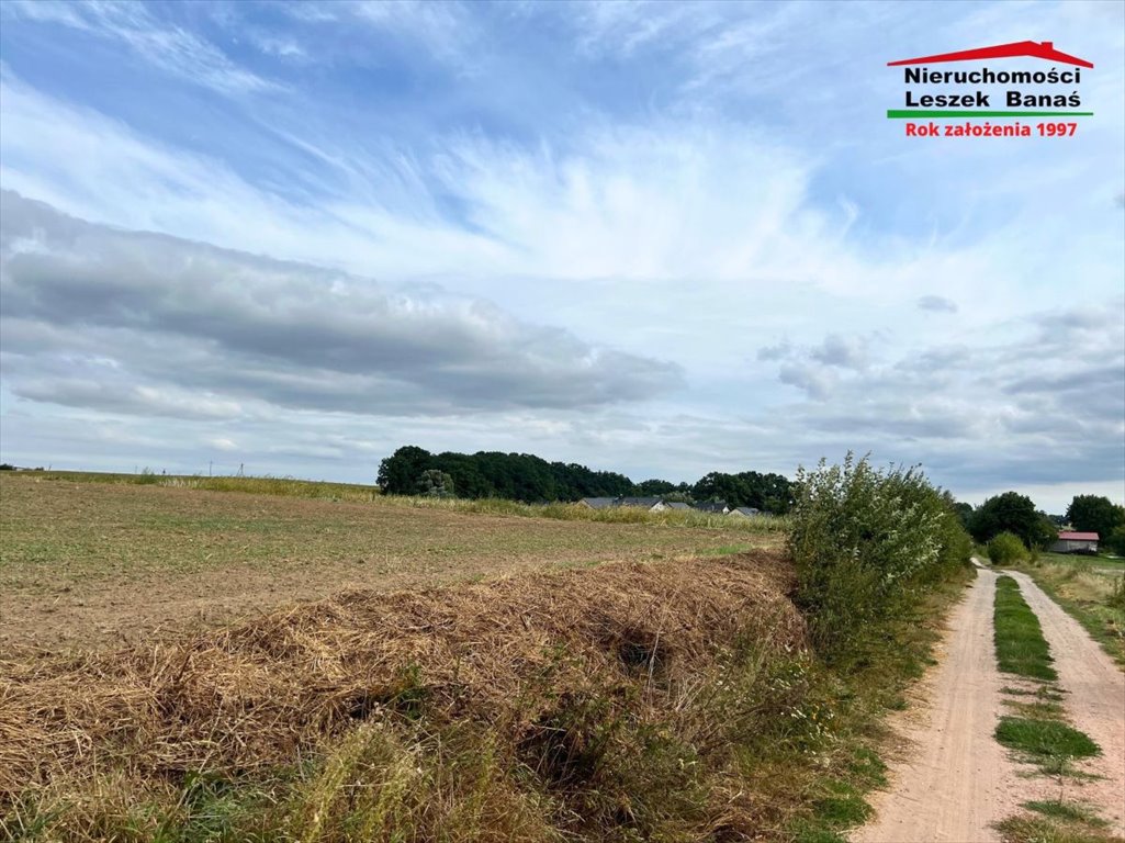 Działka budowlana na sprzedaż Białochowo  1 600m2 Foto 4