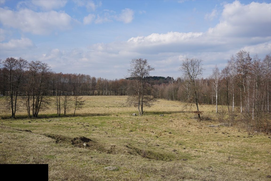 Działka rekreacyjna na sprzedaż Dźwierzuty  3 124m2 Foto 1