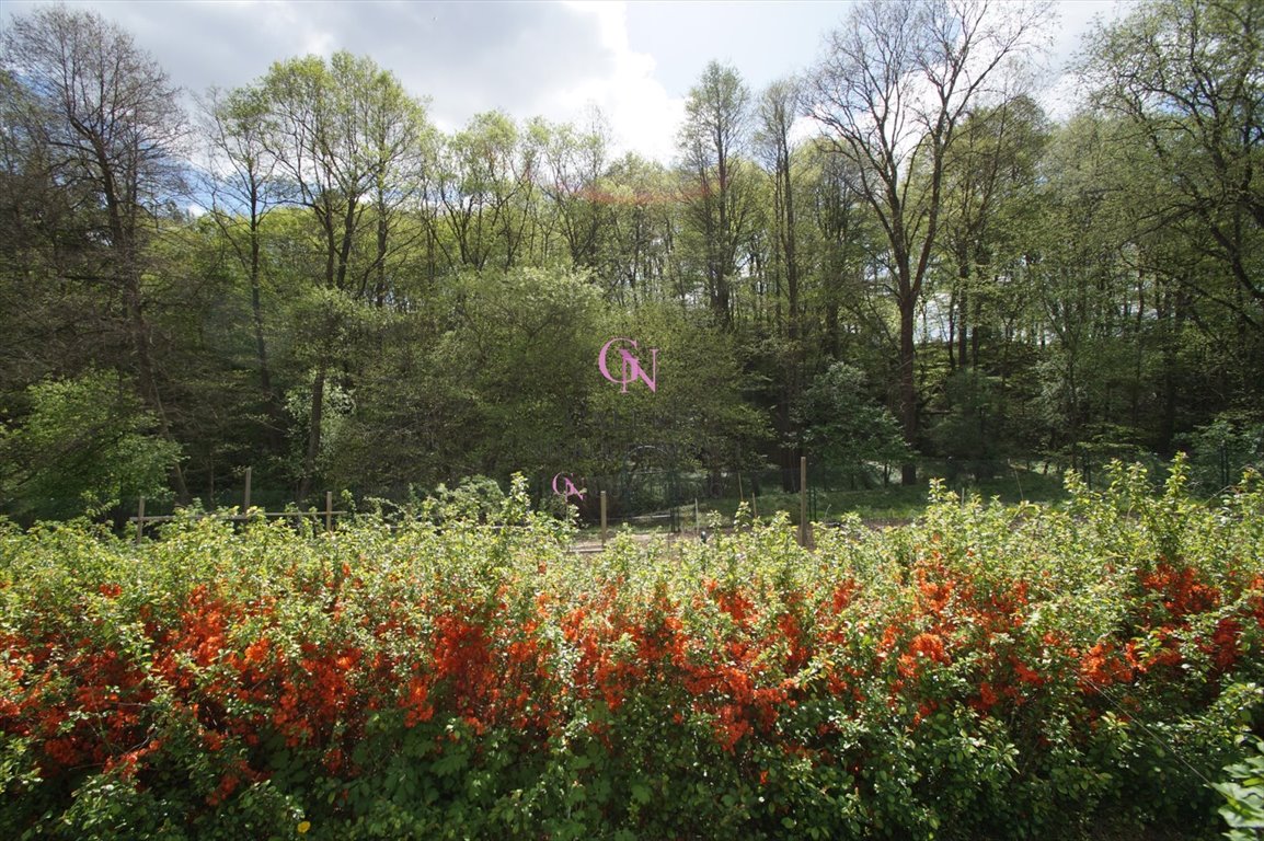 Działka inna na sprzedaż Lubicz Dolny  4 300m2 Foto 18