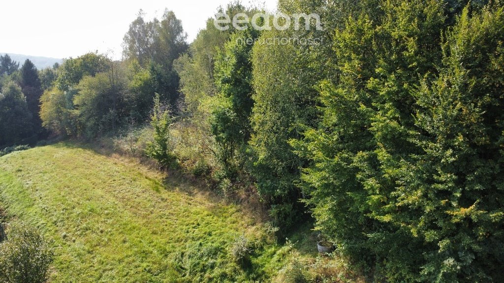 Działka budowlana na sprzedaż Baryczka  5 800m2 Foto 5