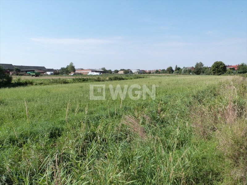 Działka budowlana na sprzedaż Dobrzyca, Dobrzyca, ul. Krotoszyńska 5 200m2 Foto 1 Działka budowlana na sprzedaż Dobrzyca, Dobrzyca, ul. Krotoszyńska 5 200m2 Foto 1