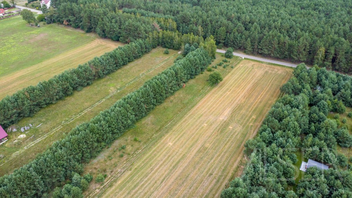 Działka rekreacyjna na sprzedaż Michałowo  4 818m2 Foto 8