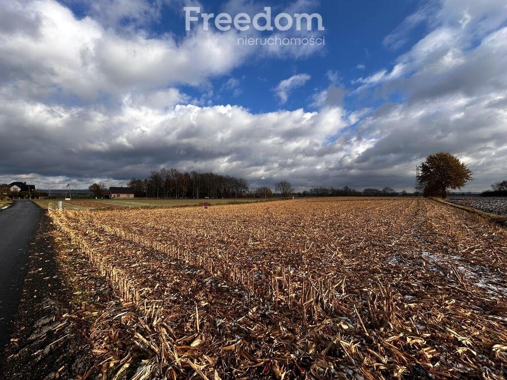 Działka rolna na sprzedaż Smolice, Przyległa  5 920m2 Foto 4