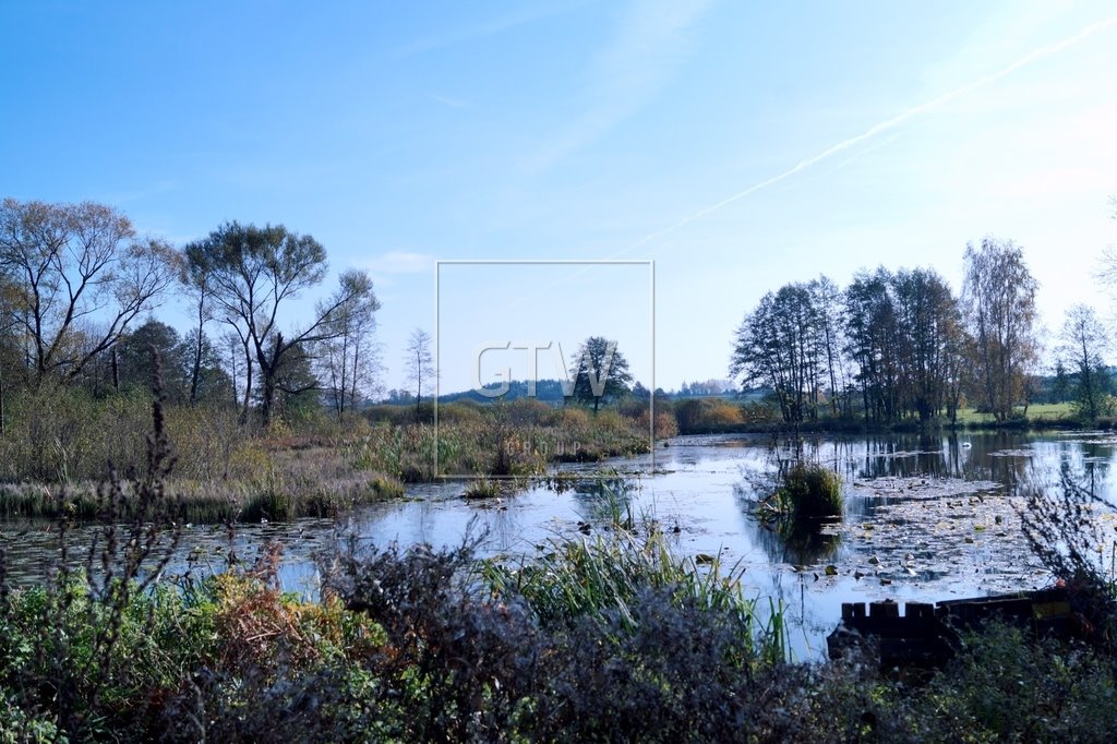 Działka 3,6 ha z stawami, możliwością budowy, blisko DK50 Przęsławice  36 200m2 Foto 1