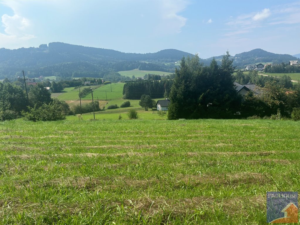 Działka budowlana na sprzedaż Rupniów  2 000m2 Foto 12