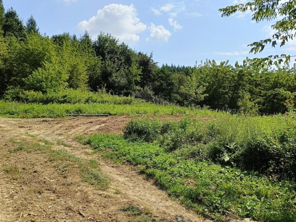 Działka rolna na sprzedaż Zaborów  2 300m2 Foto 1