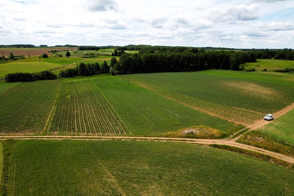 Działka rolna na sprzedaż Bartosze  3 500m2 Foto 12