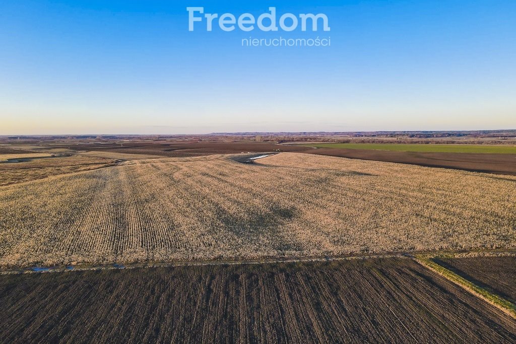 Działka rolna na sprzedaż Stare Miasto  10 900m2 Foto 4