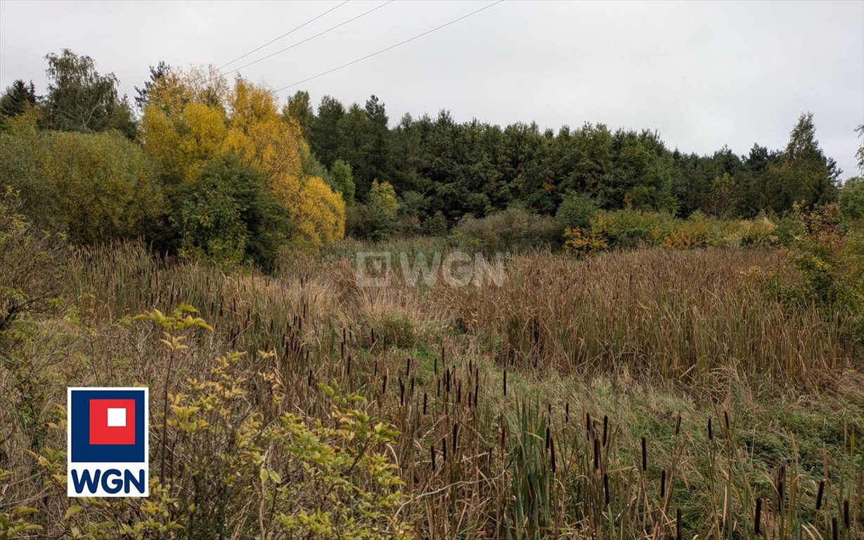 Działka budowlana na sprzedaż Ostrów Wielkopolski, Kamienna  2 527m2 Foto 1