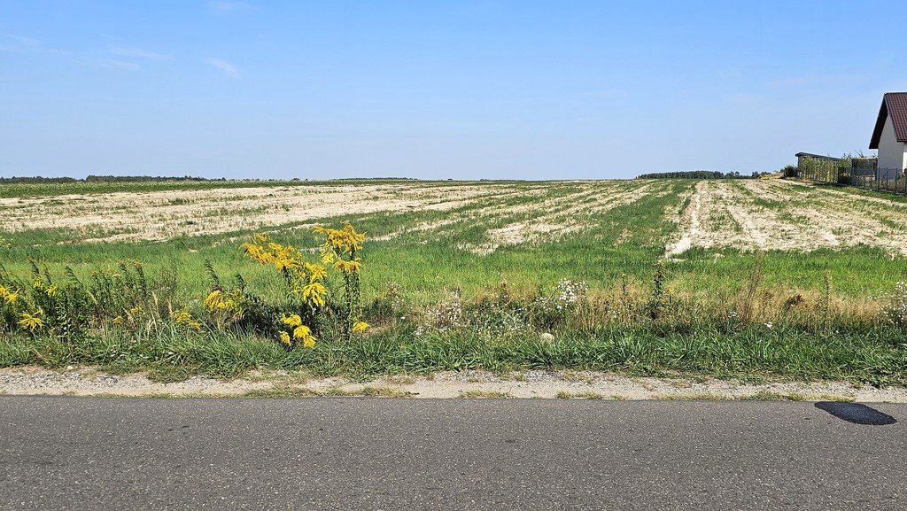 Działka budowlana na sprzedaż Pałecznica  2 100m2 Foto 4