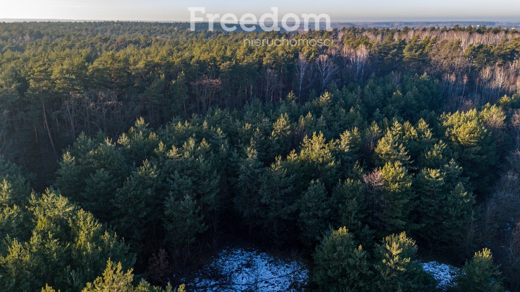 Działka budowlana na sprzedaż Świętochów, Leśna  11 932m2 Foto 14