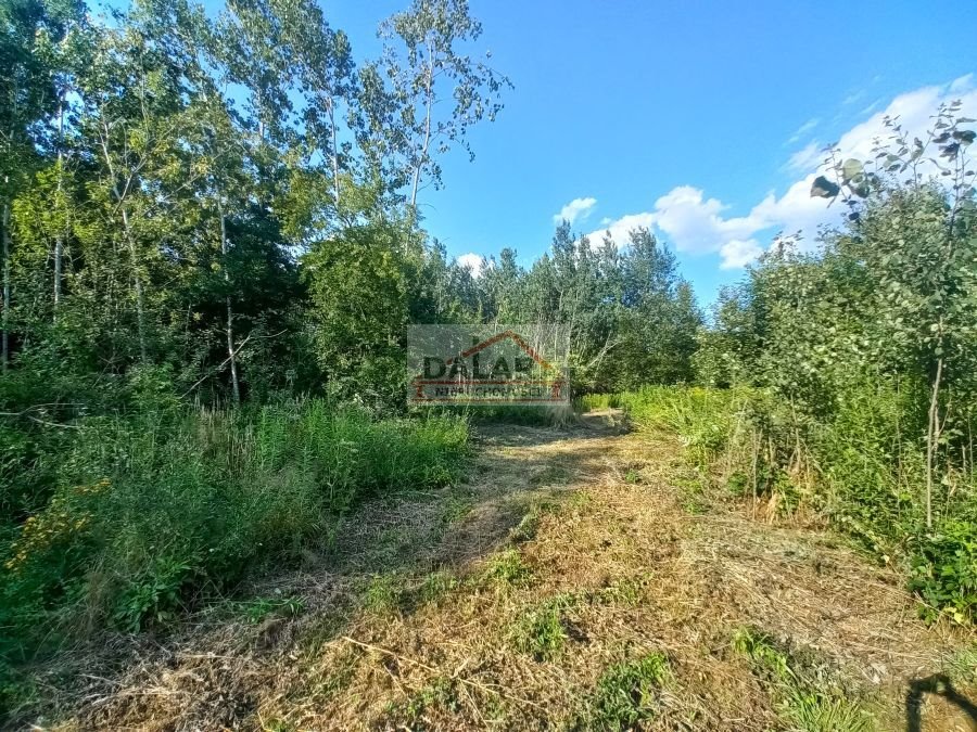 Działka rolna na sprzedaż Czersk, Tatary  18 200m2 Foto 5