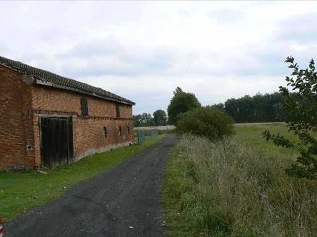 Działka budowlana na sprzedaż Karlino, Witolub  17 900m2 Foto 4