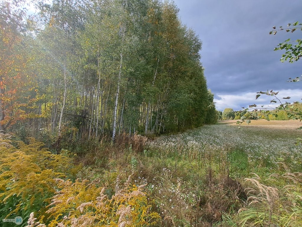 Działka rolna z możliwością zabudowy w Sędku, 8 879 m² Łagów, Sędek  8 879m2 Foto 1
