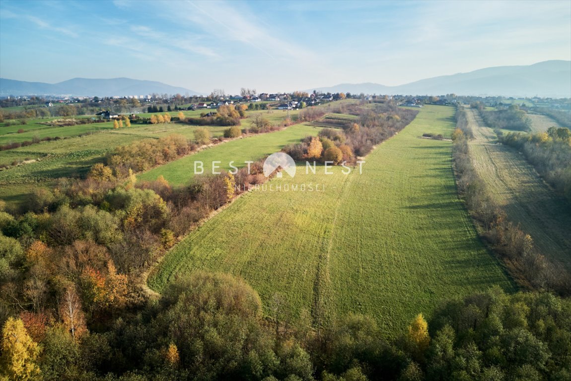 Działka przemysłowo-handlowa na sprzedaż Bielsko-Biała  6 255m2 Foto 2