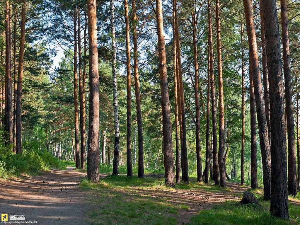 Dom na sprzedaż Purda  180m2 Foto 9