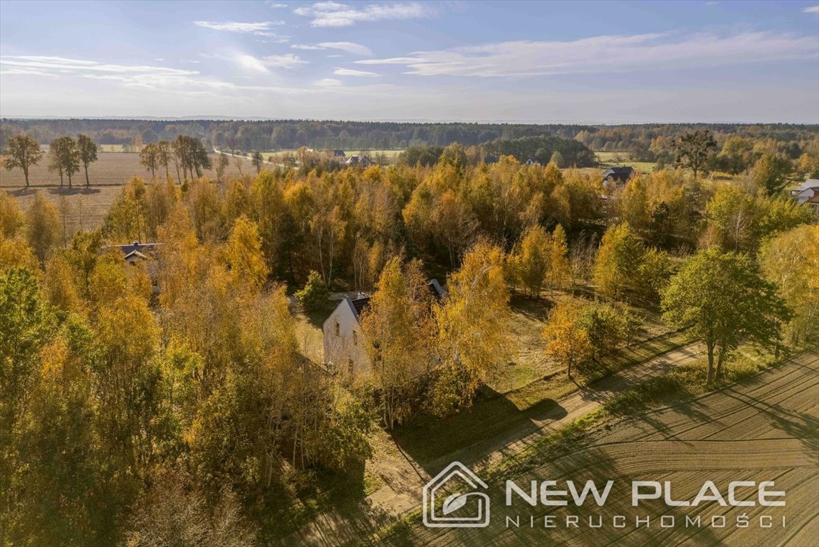 Działka budowlana na sprzedaż Biedaszków Wielki  1 864m2 Foto 5