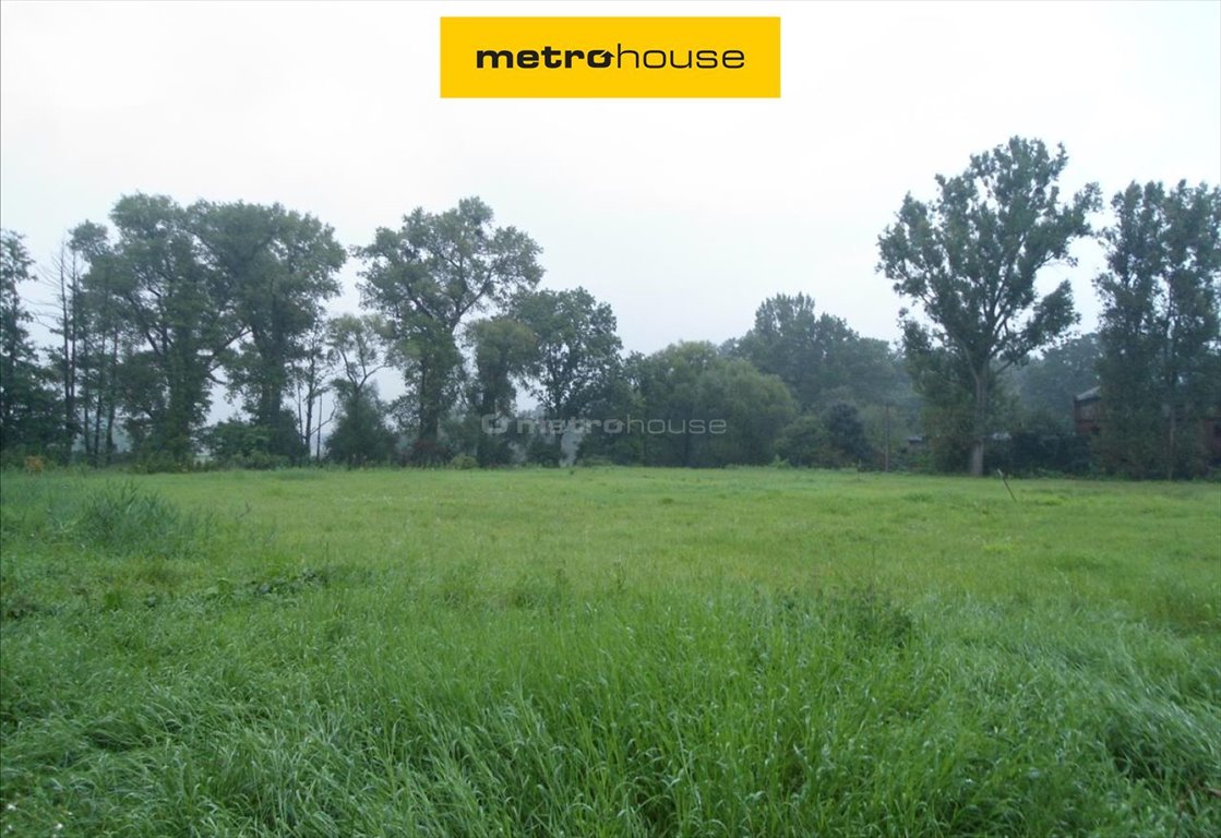 Działka pod zabudowę jednorodzinną, 2161 m², Koninko Koninko  2 161m2 Foto 1