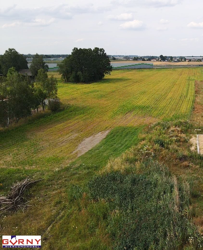 Działka inna na sprzedaż Piotrków Trybunalski, Dymacz  20 514m2 Foto 4