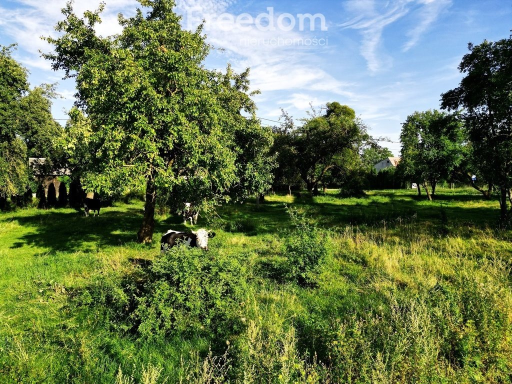 Działka inna na sprzedaż Urowo  2 500m2 Foto 8