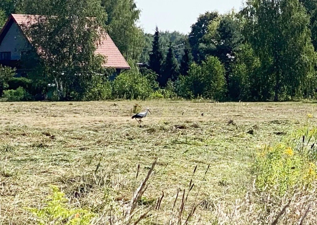 Mieszkanie trzypokojowe na sprzedaż Wiązowna  86m2 Foto 10