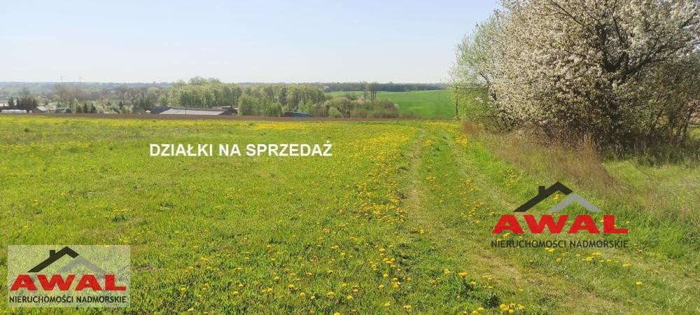 Działka budowlana na sprzedaż Zdrada, Leśna  1 020m2 Foto 6