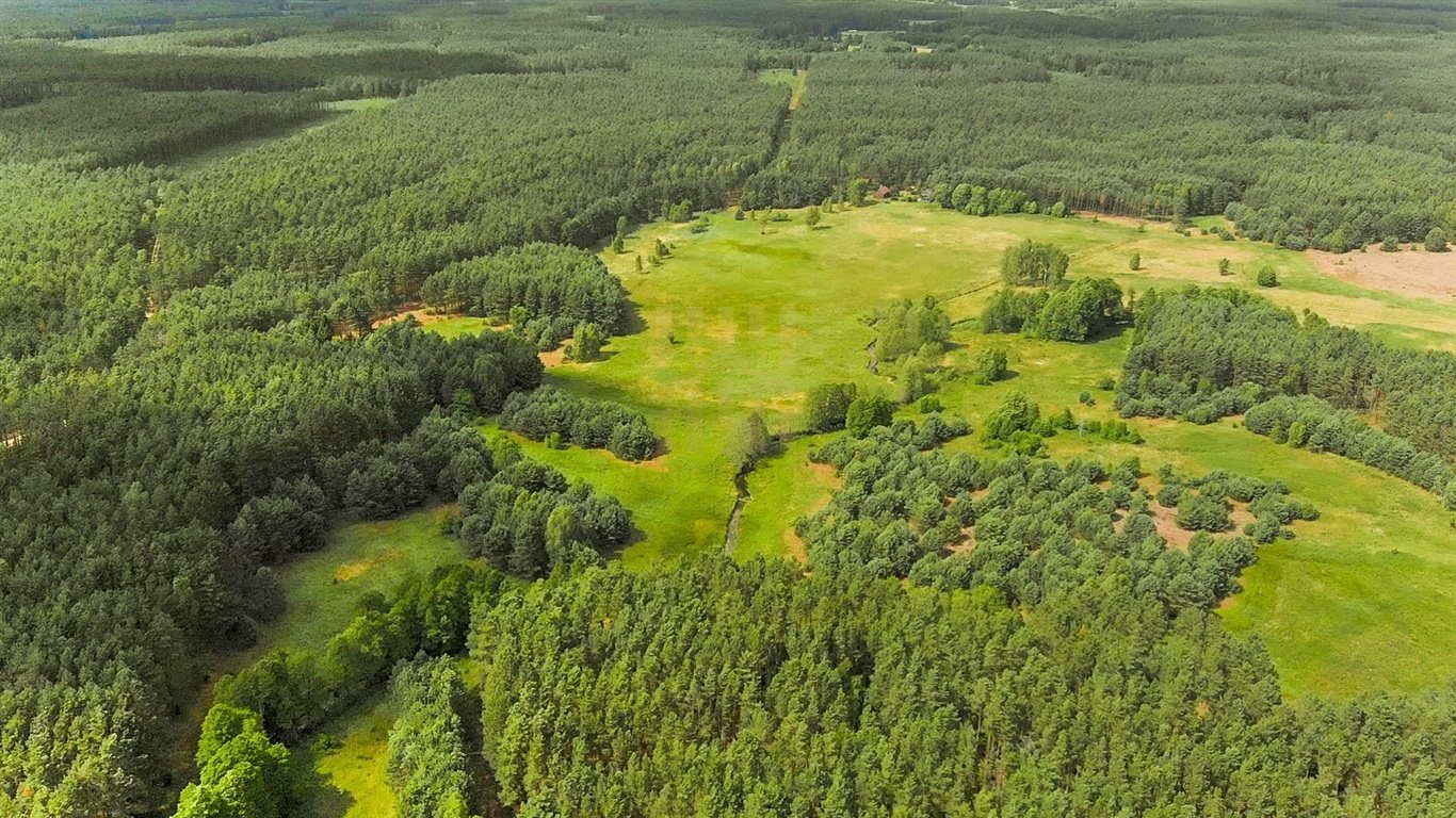 Działka inna na sprzedaż Kasparus  80 200m2 Foto 2