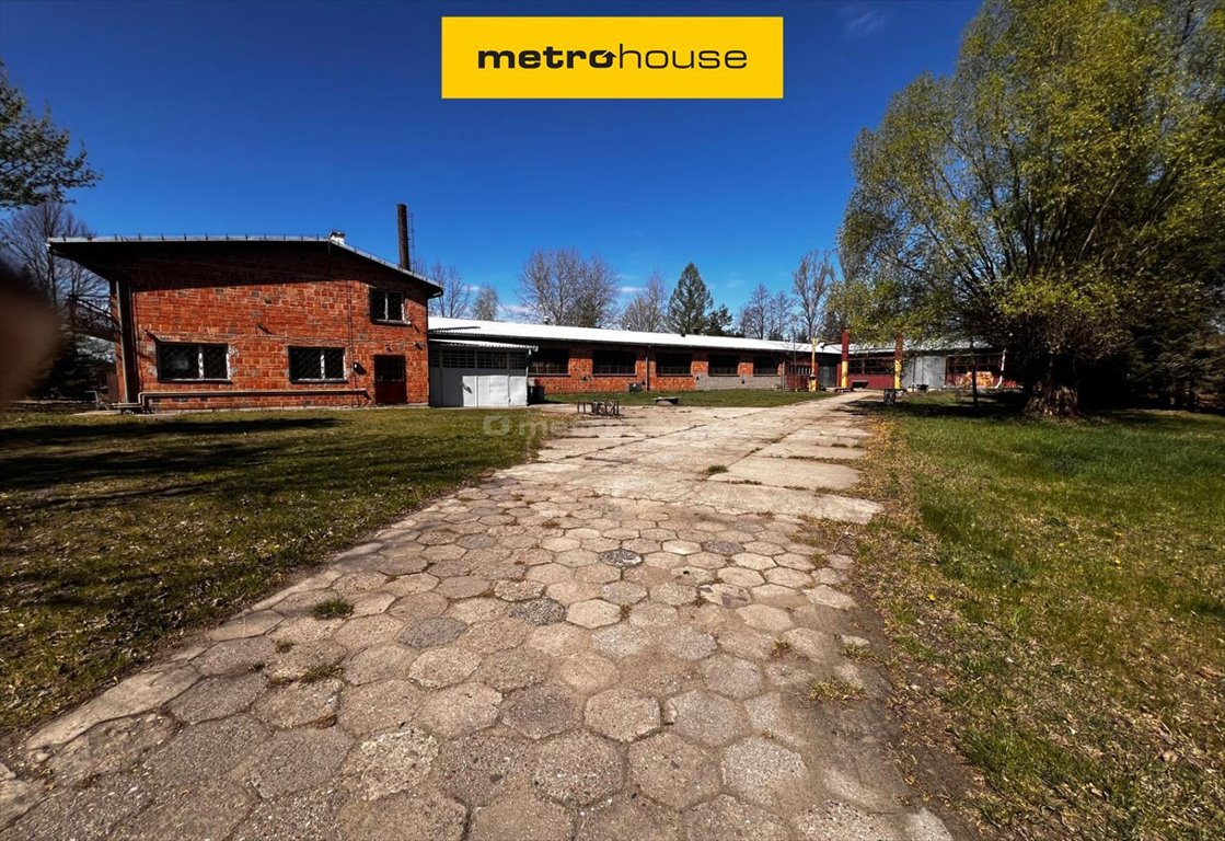 Do sprzedania atrakcyjny obiekt inwestycyjny 10700 m² w Tomicach: Tomice: Sosnowa