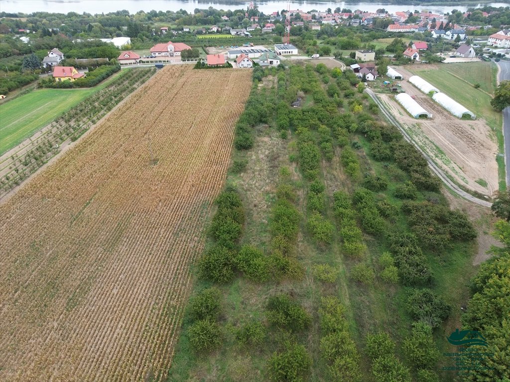 Działka rolna na sprzedaż Nieszawa  6 616m2 Foto 12