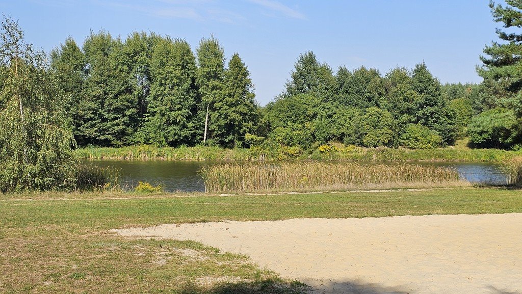 Działka budowlana na sprzedaż Pałecznica  2 100m2 Foto 16