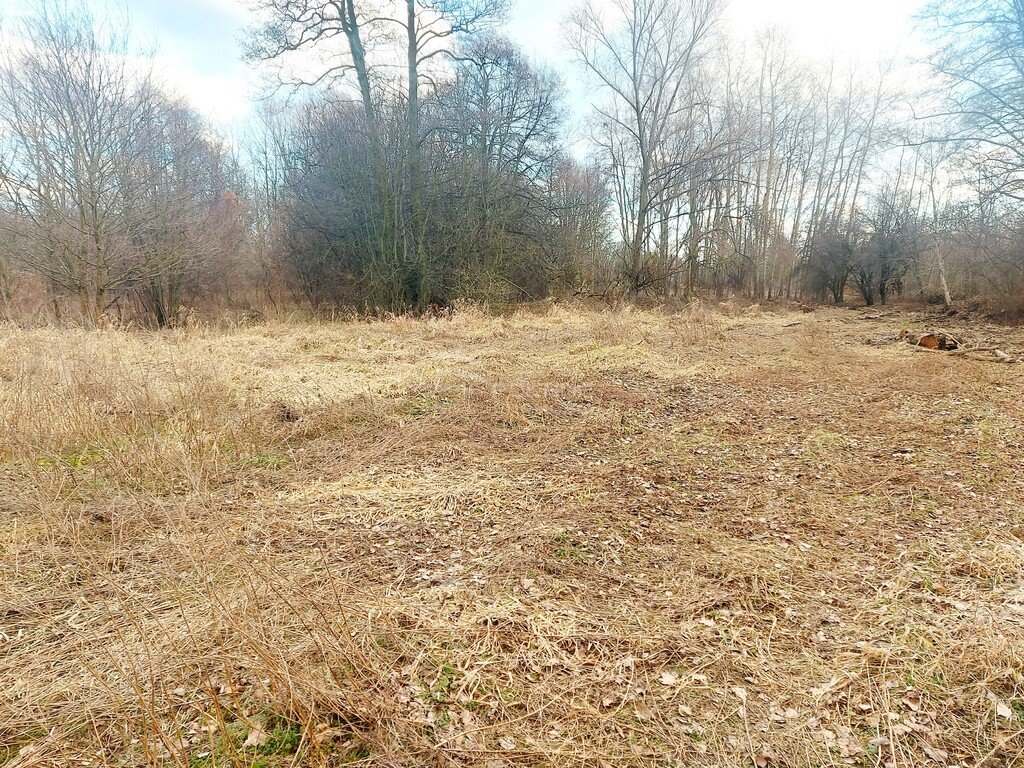 Działka budowlana na sprzedaż Milanówek  9 150m2 Foto 4