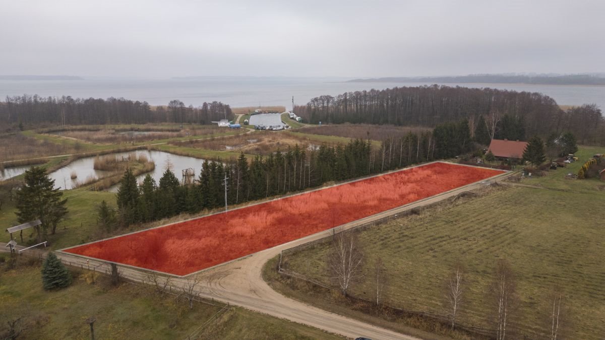 Działka siedliskowa na sprzedaż Harsz  2 626m2 Foto 4