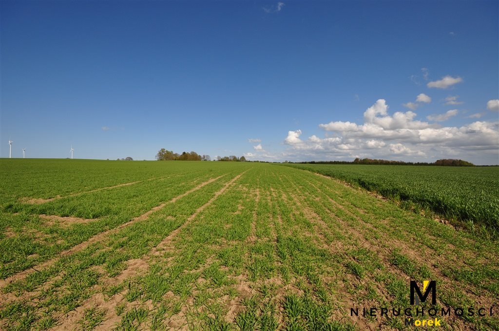 Działka budowlana na sprzedaż Bardy  60 400m2 Foto 13