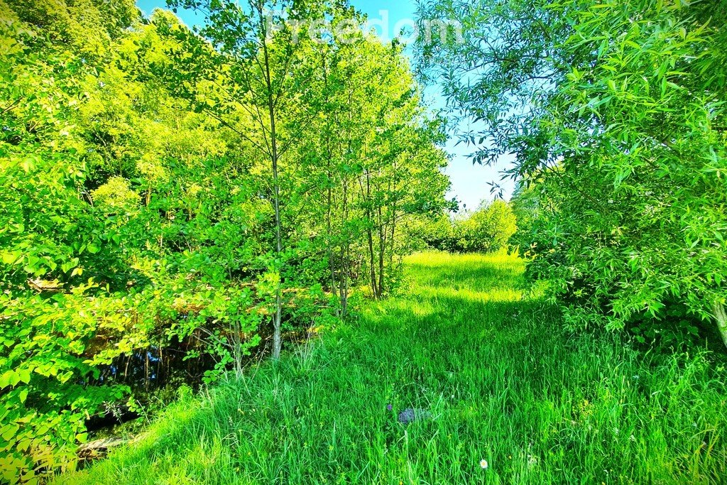 Działka rolna na sprzedaż Maksymilianów  32 700m2 Foto 5