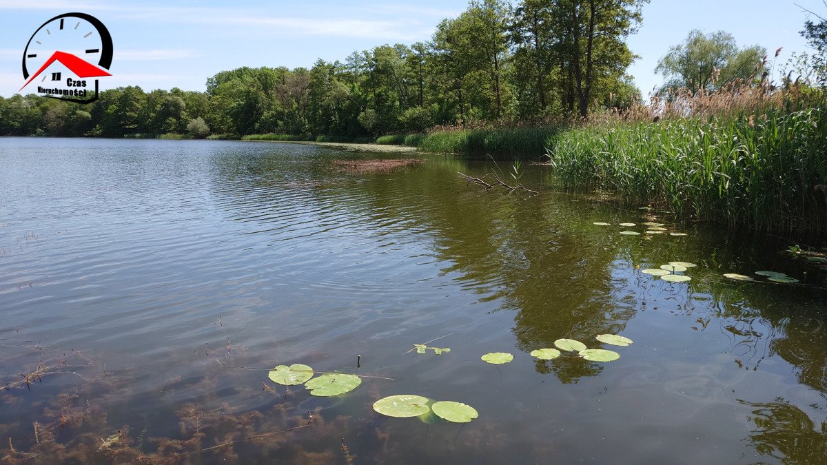 Działka budowlana na sprzedaż Kępa  1 050m2 Foto 5